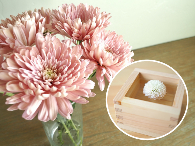 重陽の花